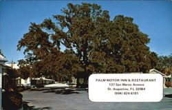 Palm Motor Inn & Restaurant, 137 San Marco Avenue Postcard