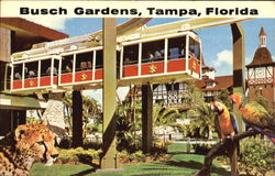 Busch Gardens Postcard