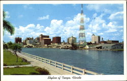 Skyline Of Tampa Postcard