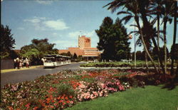 Entrance To Busch Gardens Postcard