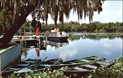 Beautiful Scenic Florida Waterways Postcard Postcard