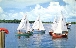 Taking A Tack On Biscayne Bayl Postcard