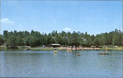 Lake At Fowler Park Vigo, IN Postcard Postcard