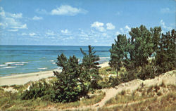 Indiana Dunes State Park Chesterton, IN Postcard Postcard