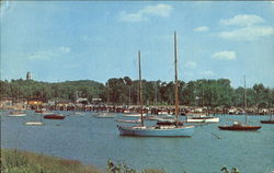 Washington Park Small Boat Harbor Postcard