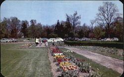 Stock #101662 Thumbnail