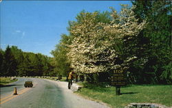 Pokagon State Park Angola, IN Postcard Postcard