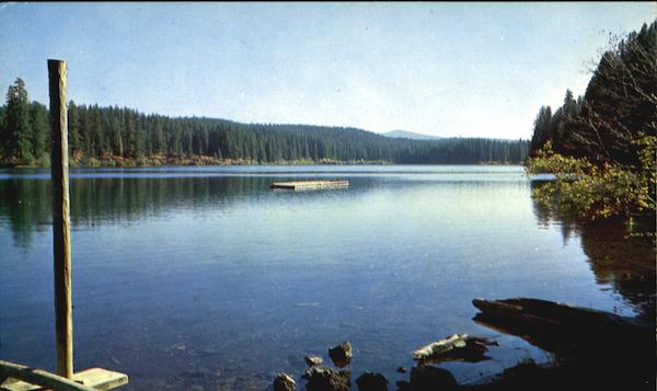 Clear Lake Scenic Oregon