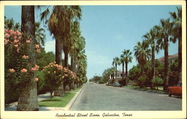 Residential Street Scene Galveston Texas
