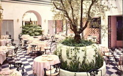 The Dolphin Court The Los Angeles Ambassador Postcard