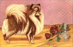The Pomeranian Postcard