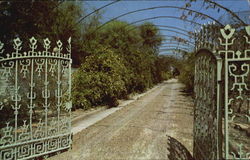 Famous Gardens Of Douglas Chandor Weatherford, TX Postcard Postcard