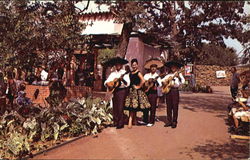 Strolling Musicians - Six Flags Postcard