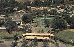 Helicopter Ride - Six Flags Postcard