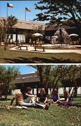 The University Of Texas Of The Permian Basin Postcard
