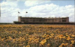 The University Of Texas Of The Permian Basin Postcard