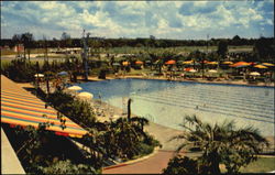 The Famous Shamrock Hotel Swimming Pool Postcard