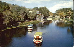 Aquarena Postcard