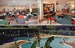 Raymondville Motor Inn And Restaurant, 450 E. Hidalgo Texas Postcard Postcard