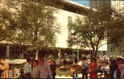 University Of Texas Postcard