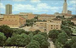 The University Of Texas Campus Postcard