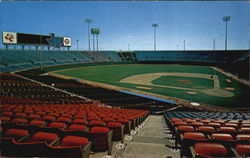 Arlington Stadium Texas Postcard Postcard