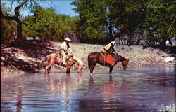 Texas Rangers On Quarter Horses Postcard Postcard