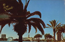 Hi From Orlando Postcard