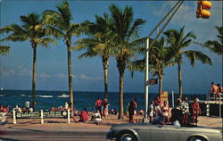 Tropical Fort Lauderdale Beach Postcard