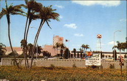 Over All View Of Busch Gardens Tampa, FL Postcard Postcard