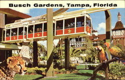 Busch Gardens Postcard