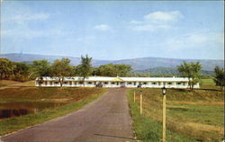 Iron Kettle Motel Postcard