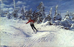 Mount Snow Ski Area West Dover, VT Postcard Postcard