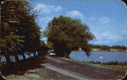 The Willows Honored By Ripley Postcard
