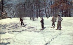 Winter Sports Postcard