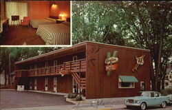 Town House Motel La Crosse, WI Postcard Postcard