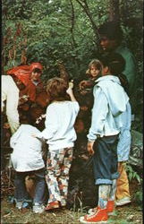Camp Juniper Knoll Postcard