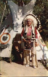 Chief Blow Snake In Full Ceremonial Dress Wisconsin Dells, WI Postcard Postcard