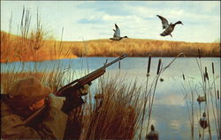 Duck Hunting Postcard