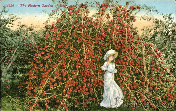 The Modern Garden Of Eden Spokane Washington