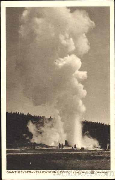 Giant Geyser Yellowstone National Park