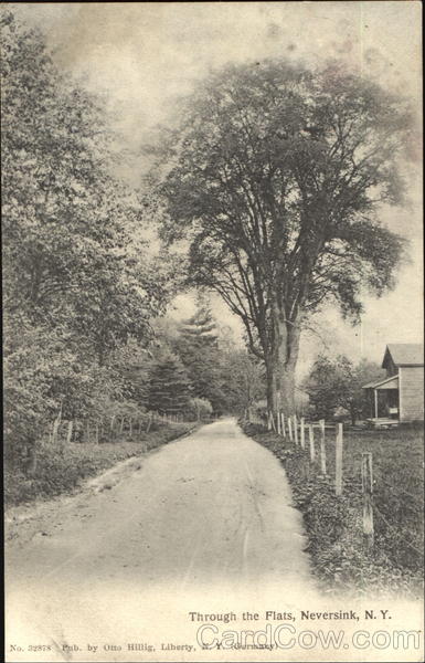 Through The Flats Neversink New York