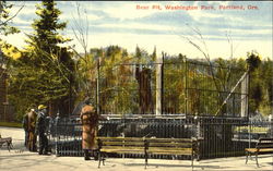 Bear Pit, Washington Park Postcard