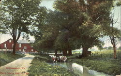 Farm Scene East Of City Williamsport, PA Postcard Postcard