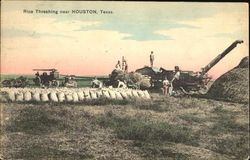 Rice Threshing Near Houston Postcard