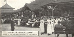 Scene In Hershey Park Postcard