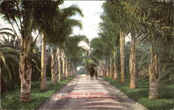 Stock #103692 Thumbnail