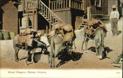 Wood Wagons Postcard