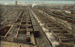 Stock Yards Postcard
