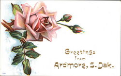 Greetings From Ardmore Postcard